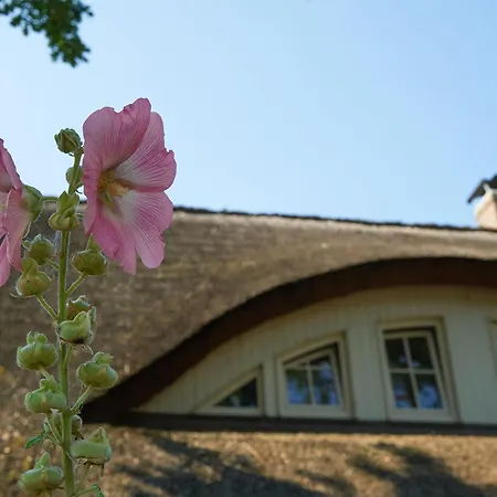 Kapitaens Hus - Haushaelfte 2 